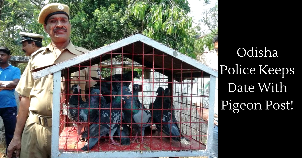 Odisha has a Police Pigeon Service, the Only One of Its Kind In the World!