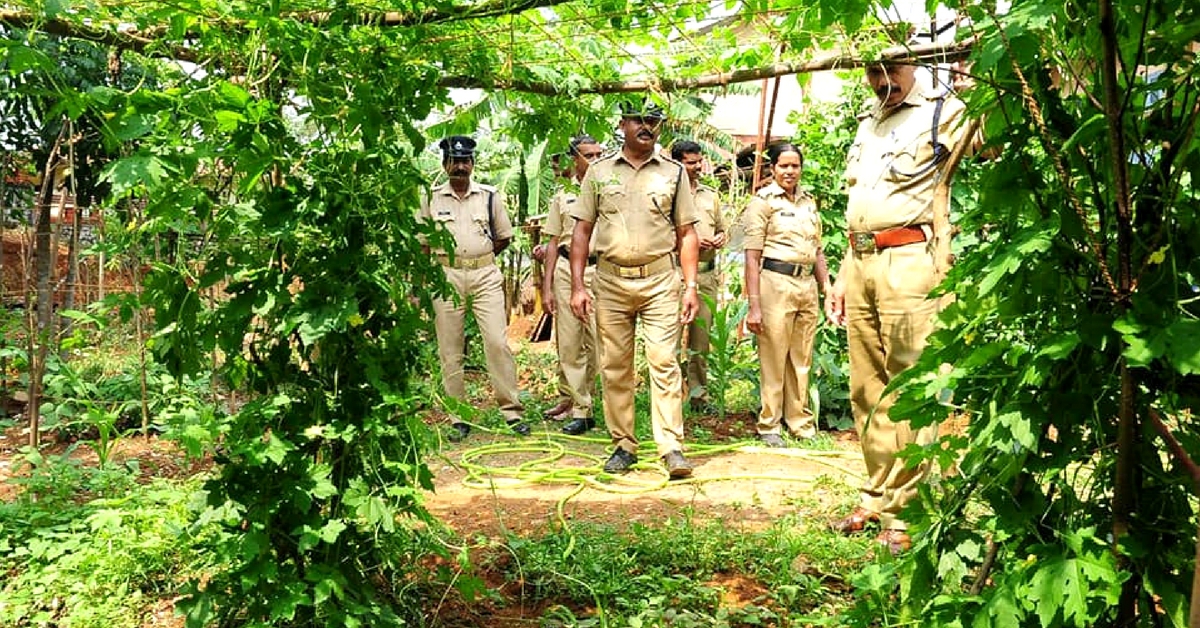 Kerala Cops Transform Barren Patch of Land, Now Grow over 40 Vegetables!