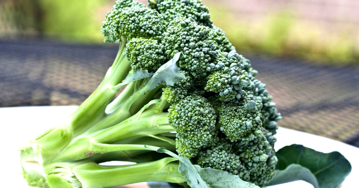 Broccoli has a ton of health benefits, and is an ideal food for summer! Representative image only. Image Courtesy:Flickr
