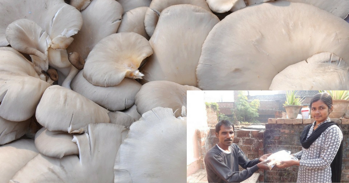 Growing mushrooms in Patna, these girls support their families and educate themselves! Inset Image Credit: The Asian Age.