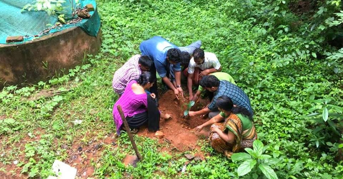 Kerala Sets Record-Busting Green Goals, To Plant 3 Crore Saplings This Year!