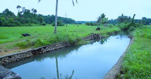 This May, Kottayam Will Join Hands & Hearts to Revive Its Precious 'Lifelines'!