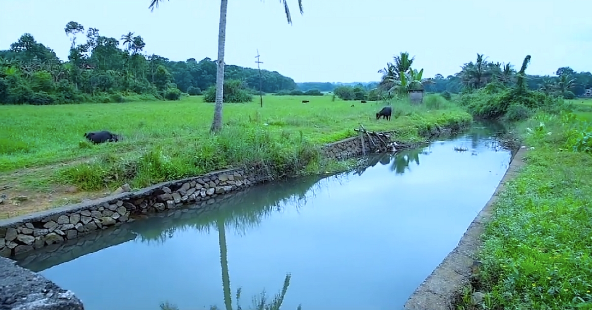 This May, Kottayam Will Join Hands & Hearts to Revive Its Precious ‘Lifelines’!