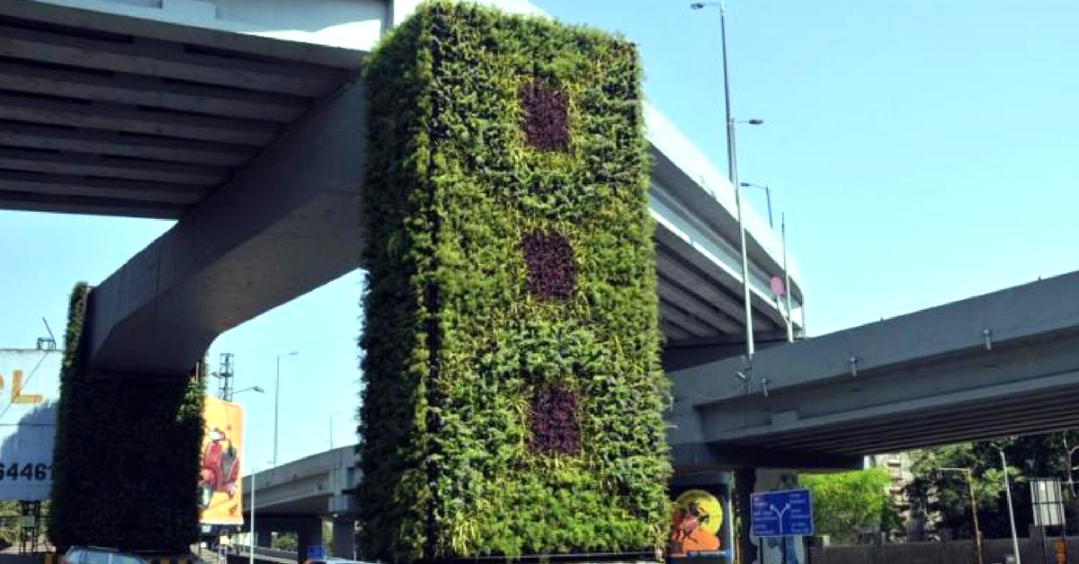 Greening ‘Up’: Pune to Grow Vertical Gardens on Its Metro Pillars!