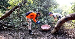 A Green Future: 4 Times Mumbai Came Together to Restore Its Oxygen Chambers!