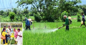 Forget Pesticides, This Kerala Farmer Eradicates Pests by the Power of Sun