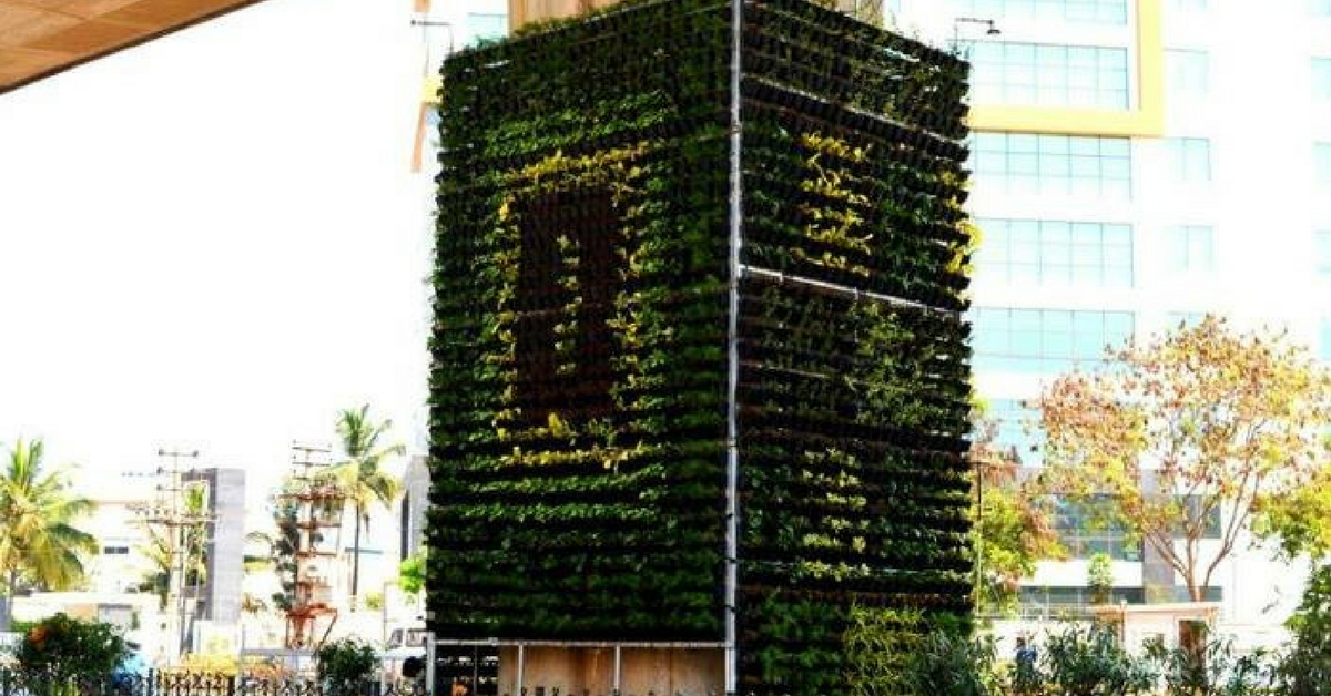 South Delhi Flyovers to Green It Up, Grow Vertical Gardens!