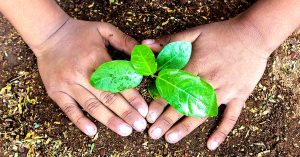 Kerala Students Turn Guardians of Greenery, Save 295 Trees from Being Axed!