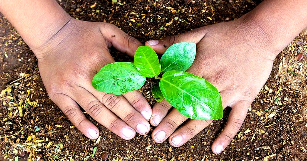Kerala Students Turn Guardians of Greenery, Save 295 Trees from Being Axed!