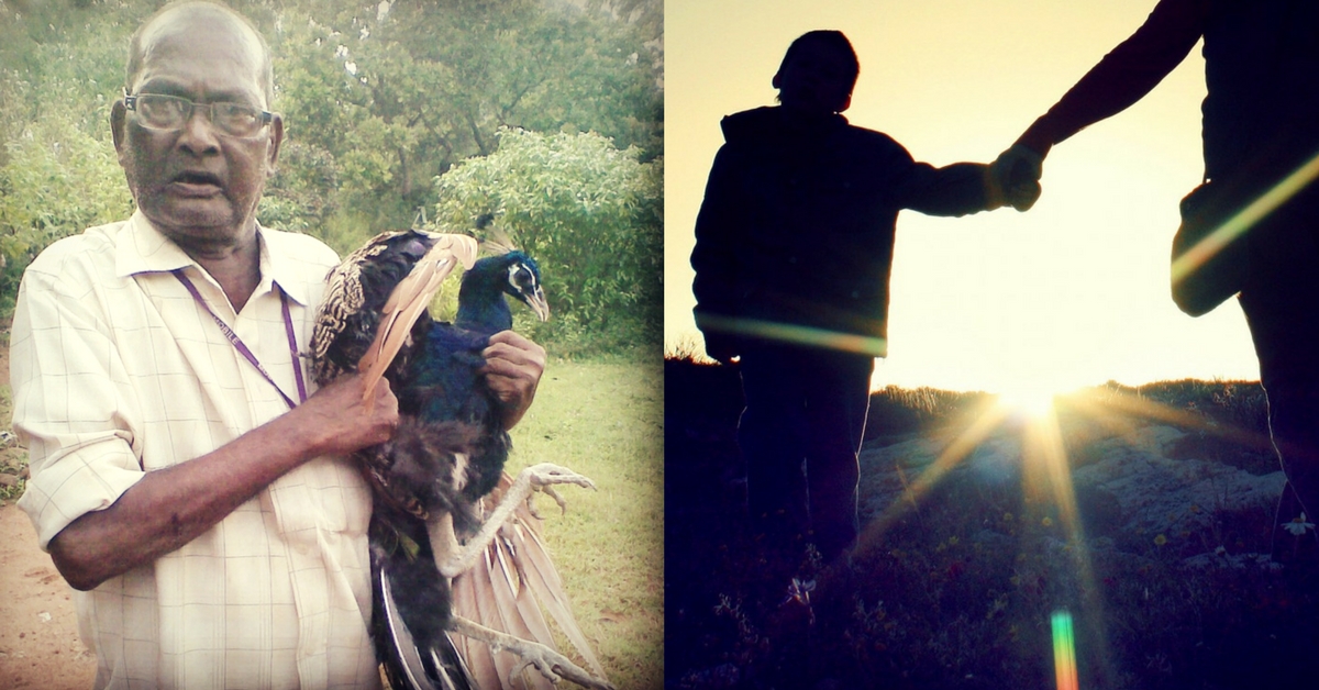 100 Birds & Counting: A Grandfather’s Last Wish Fuels This ‘Peacock Valley’