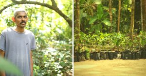 This Engineer Grew a Fruit Forest in His Backyard & You Can Grow One Too