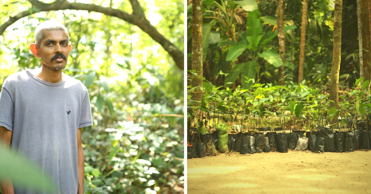 This Engineer Grew a Fruit Forest in His Backyard & You Can Grow One Too