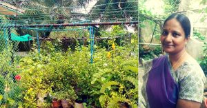 Want to Set up a Terrace Garden? Let Chennai's Top Terrace Gardener Guide You!