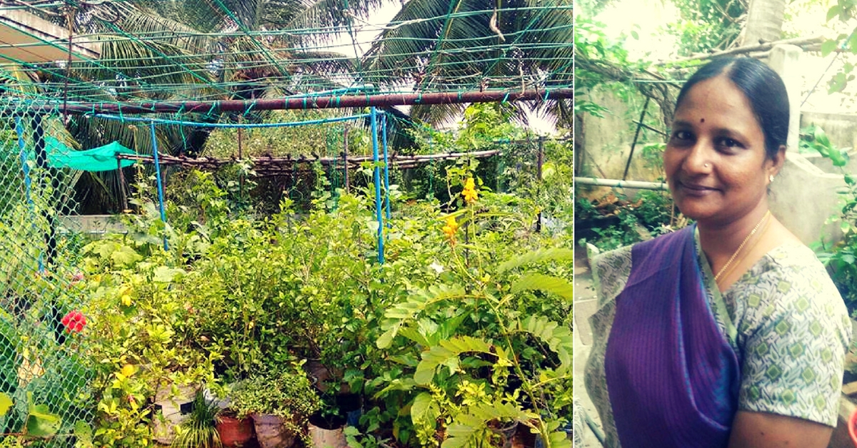 Want to Set up a Terrace Garden? Let Chennai’s Top Terrace Gardener Guide You!