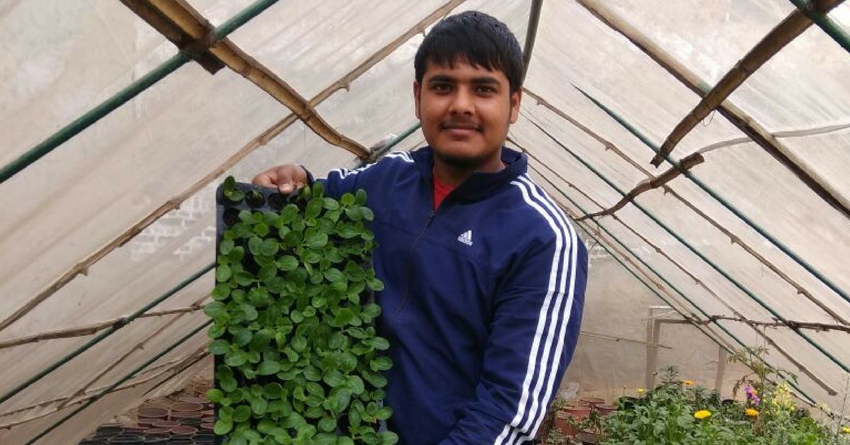 This Ex-Programmer Now Earns Rs. 50k per Month by Growing 2.5 Lakh Flowers!
