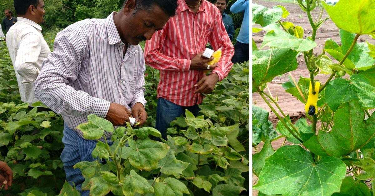 Meet The Biotech Making Pest Control With No Harmful Pesticides