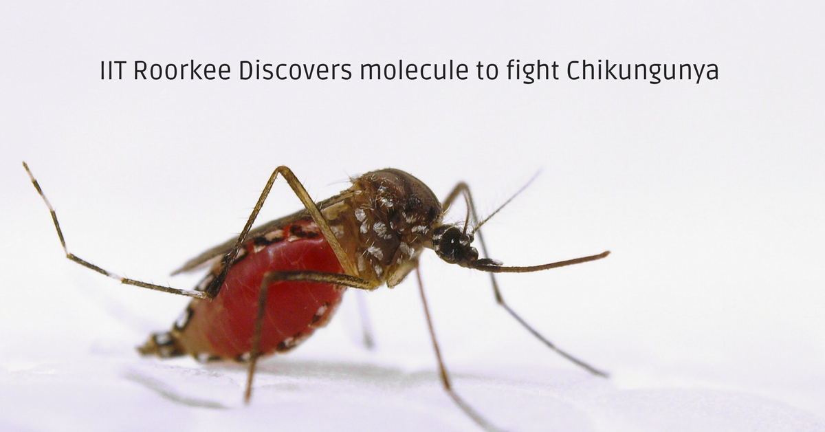 In a Big Breakthrough, IIT Roorkee Finds Molecule That Can Kill Chikungunya Virus!