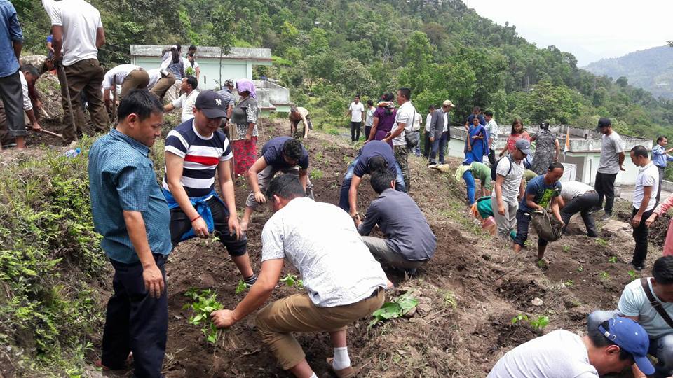 Sikkim Officer Sets Example, Ploughs Field to Inspire Youth in Farming!