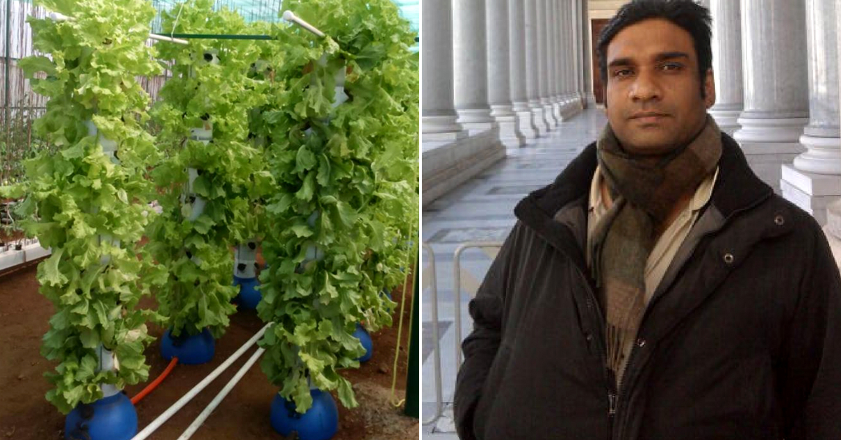Bengaluru Man Uses Hydroponics To Grow Vertical Gardens & Fodder Machines!