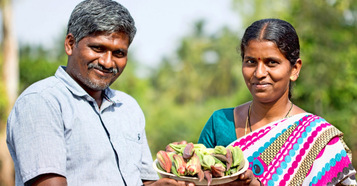 Once Tobacco Farmers, This Karnataka Couple Now Grows 15 Kinds of Ladies Finger