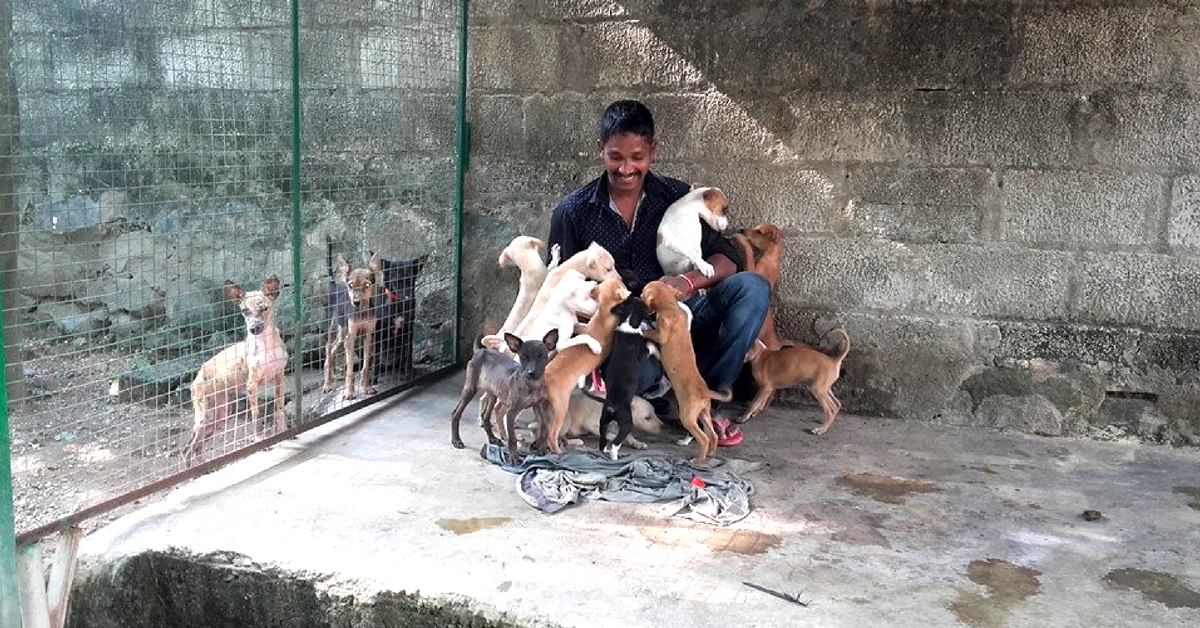 Days at Street Dog Watch Association are packed, starting from rising early and cleaning enclosures, to feeding the dogs. Image Credit: Street Dog Watch Association.