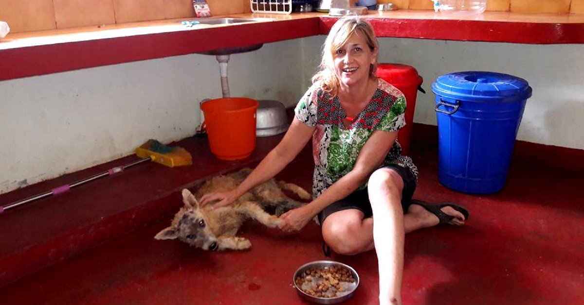 In Kovalam, Kerala, Steve and Mary founded the Street Dog Watch Association, in order to help the population of canines in the area. Image Credit: Street Dog Watch Association. 