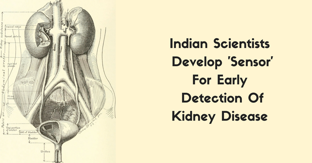 Indian Scientists Develop 'Sensor'For Early Detection Kidney Disease