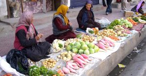 Zero-Energy Hibernation Hubs Helps Ladakh Village Grow & Sell Veggies at 12000 Ft!