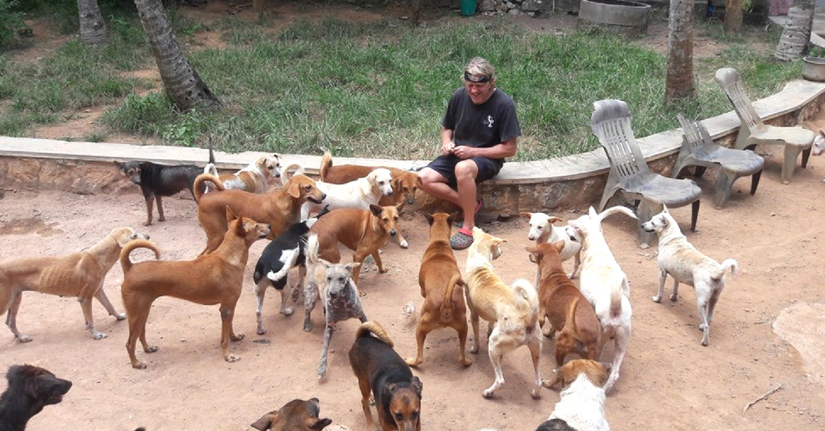 Once they reached Kerala, a turn of fate saw Steve and Mary stay back, and it has been a decade since. Image Credit: Street Dog Watch Association. 