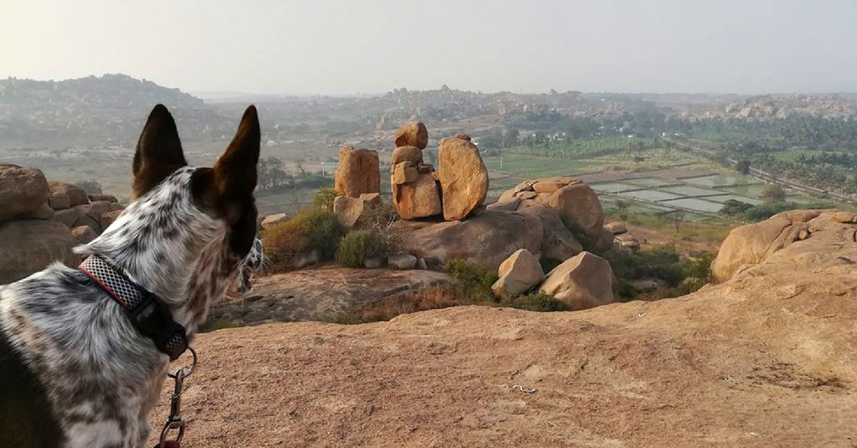 Overlooking a beautiful rock formation, somewhere in Karnataka. Image Courtesy: Gowtham