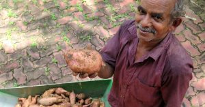Kerala Govt's Smart Kitchen Gardens Will Let You Grow Your Own Food at Home!