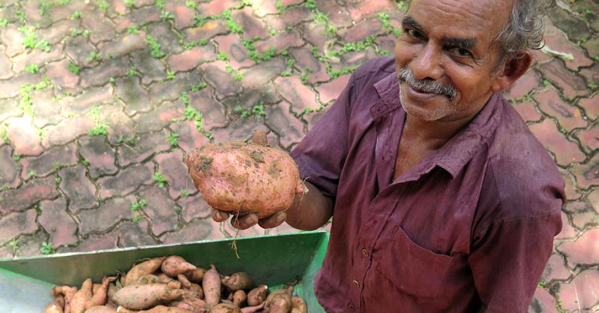 Kerala Govt’s Smart Kitchen Gardens Will Let You Grow Your Own Food at Home!