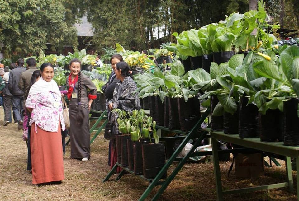 Sikkim goes organic. (Source: Facebook/