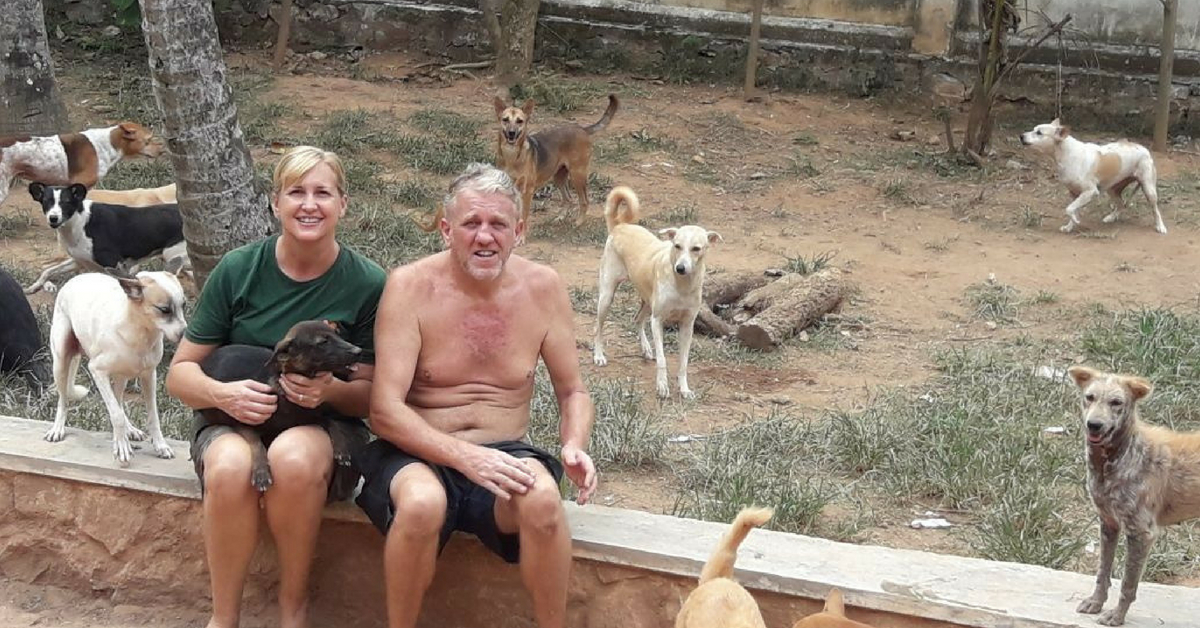 Steve and Mary, decided to settle in Kerala to take care of the dogs that stole their heart. Image Credit: Street Dog Watch.