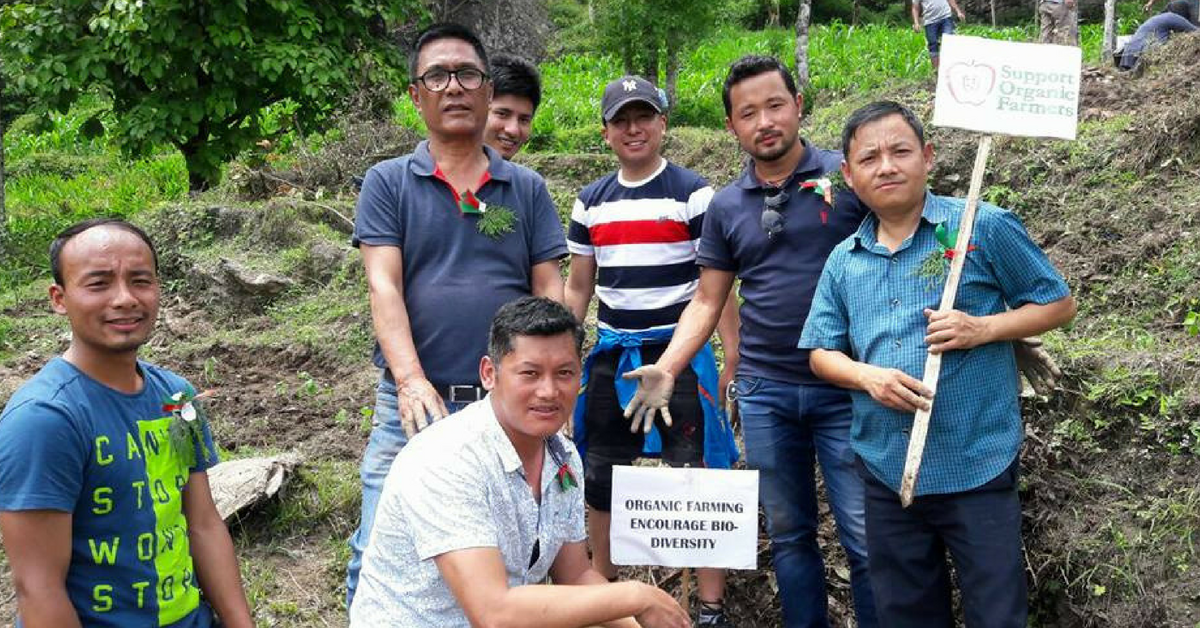 Sikkim IAS Officer Sets Example, Ploughs Field to Inspire Youth in Organic Farming!