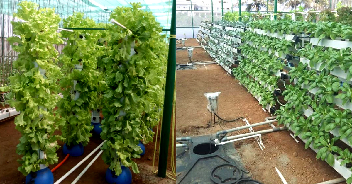 American Hydro Systems Hydroponic System in Bangalore - Dealers,  Manufacturers & Suppliers - Justdial