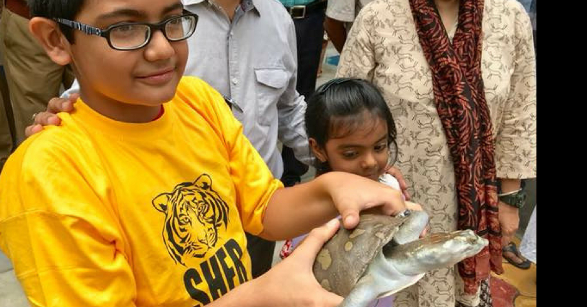 13-Year-Old Boy Sees Turtle Being Sold. What He Did Next Will Leave You Inspired!