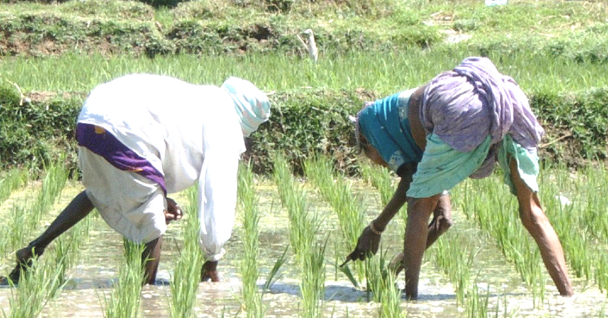 Karnataka Polls: Parties Promise Loan Waivers For Farmers But Do They Work?