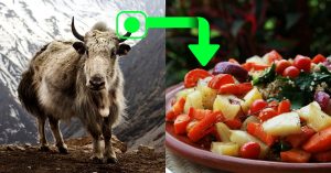 Veg Diets Just Got More Nutritious With Enzyme From Yak Cheese. Here's Why!