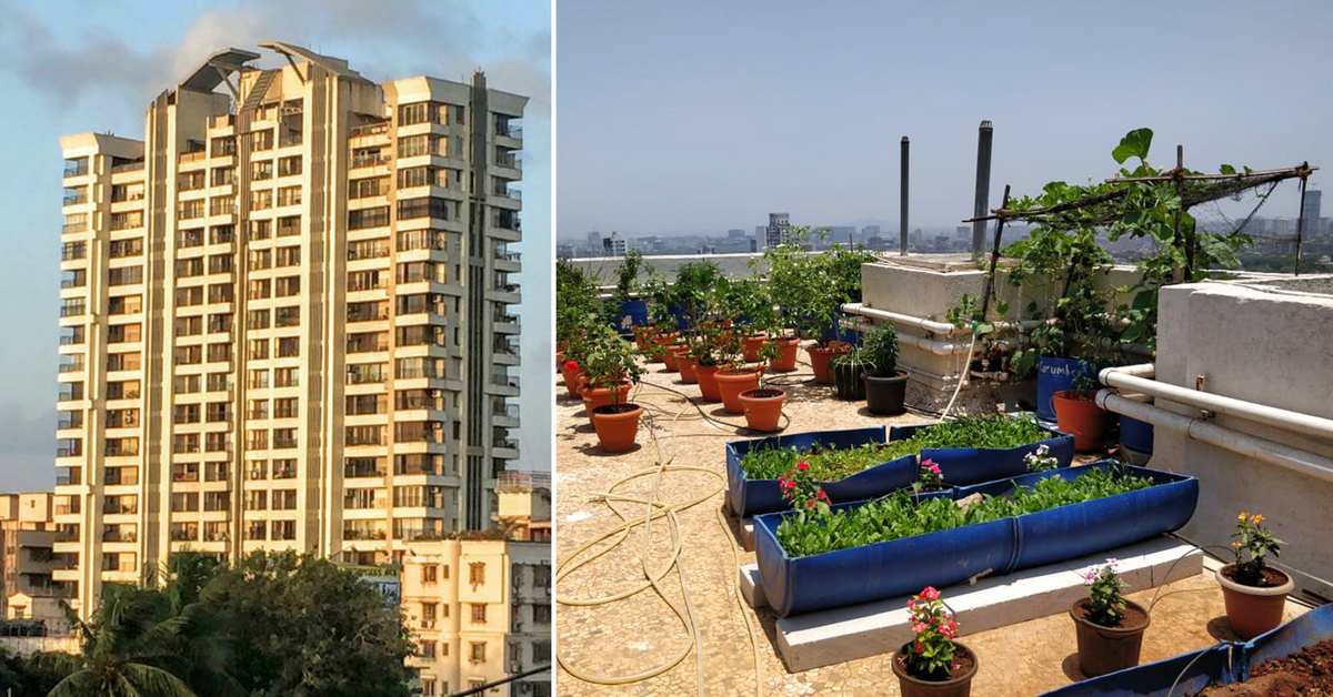 Mumbai Apartment Recycles 8000 Kg of Waste, Grows its Own Organic Food!
