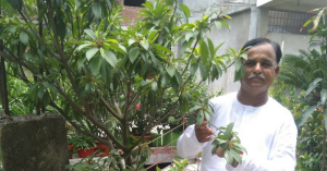 This Man's Awesome 'Farm-on-Terrace' Has Over 1000 Plants & 40 Bonsai Trees!