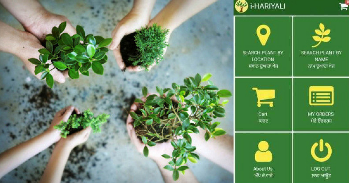 Free Door-Delivered Plant Saplings Of Your Choice Are Now Just a Click Away in Punjab!