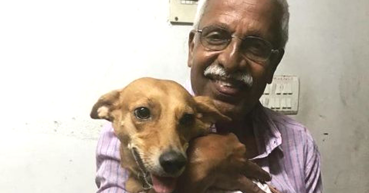 Remember the Dog Thrown from Roof? This 68 YO Travelled 500km to Hug Her!