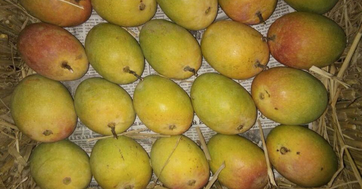 Get Alphonso Mangoes, Local Cuisine Delivered At Your Train Berth!