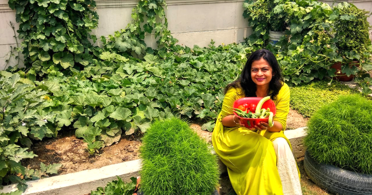 17+ Organic Veggies on 7th Floor? Kanpur Lady Has Been Growing Them for 19 Years!