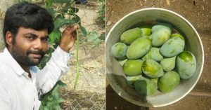 A Unique Organic Garden Where Leaves Taste like Vicks & Garlic, Beans are 1.5 Ft Long!
