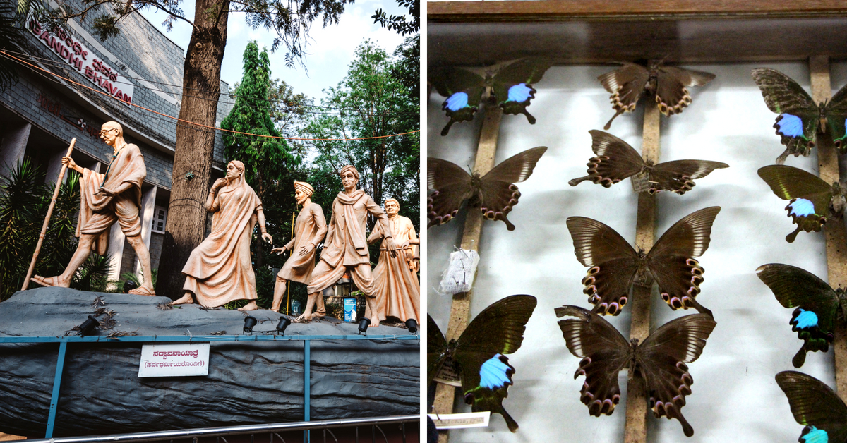 Butterflies, Brains, Turbans & Trains: India’s Many Museums All On One Website!