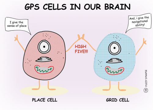 Place-and-grid-cells