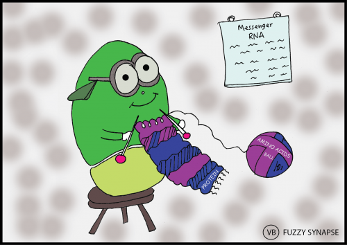 RIbosome Protien Knitters