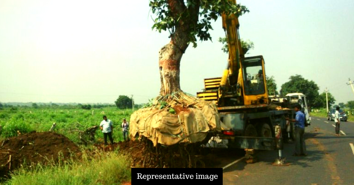 Bengaluru Folks Save 108 Trees From Being Axed, Transplant Them to Hospital Grounds!